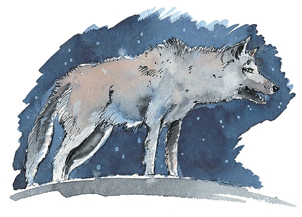 Иллюстрация к книге — Маленький оборотень [i_023.jpg]