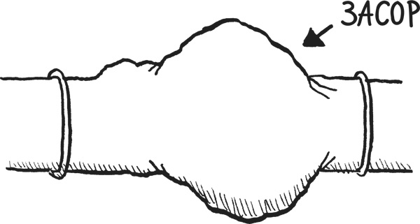 Иллюстрация к книге — Дневник «Эпик Фейл». Куда это годится?! [_7copy.jpg]