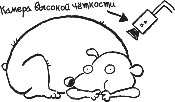 Иллюстрация к книге — Дневник «Эпик Фейл». Куда это годится?! [_822.jpg]