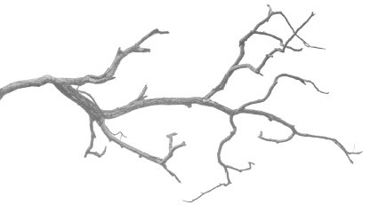 Иллюстрация к книге — Тот, кто стоит за спиной [i_006.jpg]