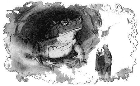 Иллюстрация к книге — Отборная гадина, или Вы нужны нам, Лилли [i_131.jpg]