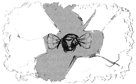 Иллюстрация к книге — Отборная гадина, или Вы нужны нам, Лилли [i_160.jpg]