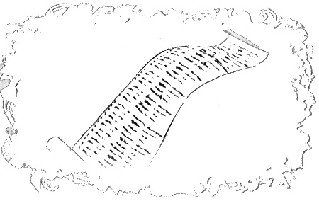 Иллюстрация к книге — Отборная гадина, или Вы нужны нам, Лилли [i_189.jpg]