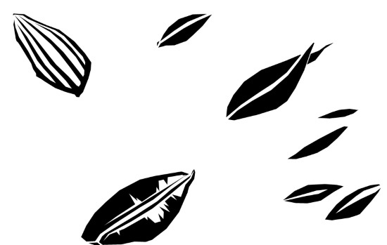 Иллюстрация к книге — Тёмный дар [i_010.jpg]