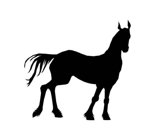 Иллюстрация к книге — Тёмный дар [i_016.jpg]