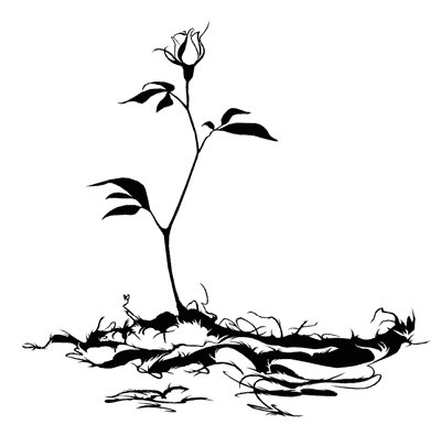 Иллюстрация к книге — Ловушка для вексари [i_027.jpg]