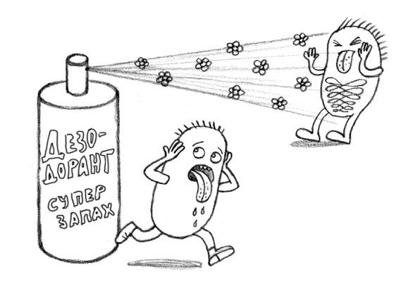 Иллюстрация к книге — Тайная жизнь домашних микробов: все о бактериях, грибках и вирусах [i_067.jpg]