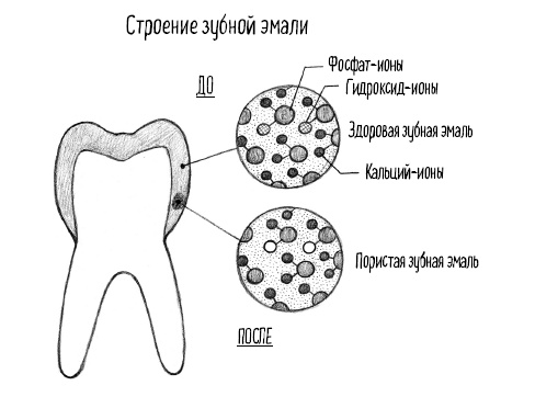 Иллюстрация к книге — Тайная жизнь домашних микробов: все о бактериях, грибках и вирусах [i_072.jpg]