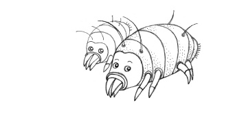 Иллюстрация к книге — Тайная жизнь домашних микробов: все о бактериях, грибках и вирусах [i_099.jpg]