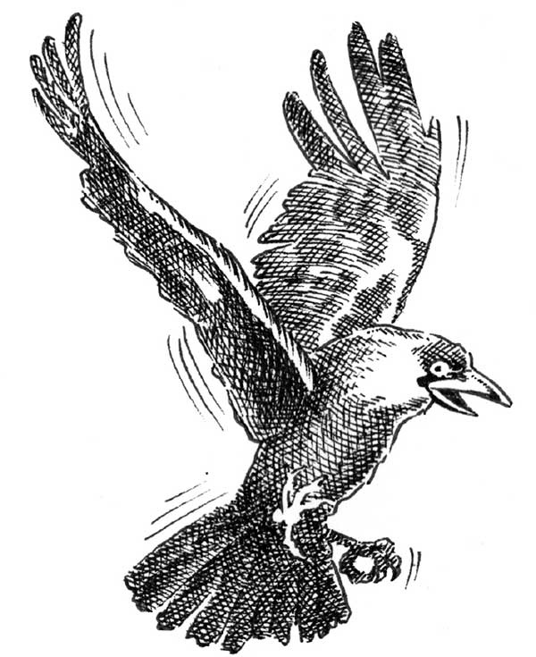 Иллюстрация к книге — Царство Ночи [i_011.jpg]