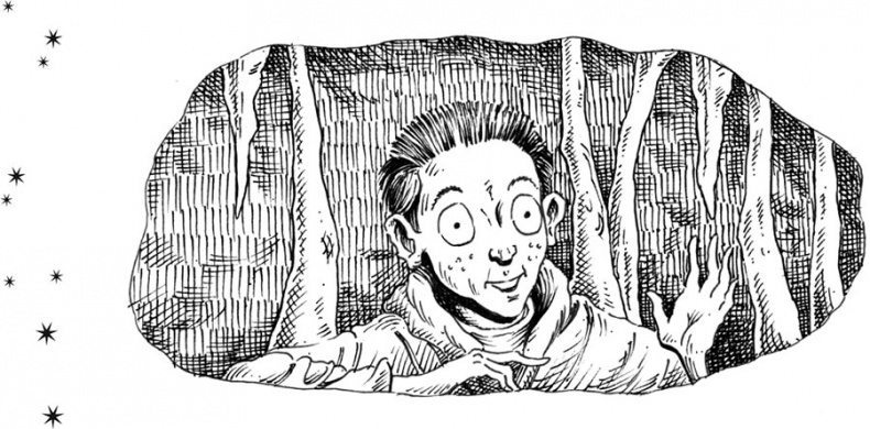 Иллюстрация к книге — Царство Ночи [i_054.jpg]