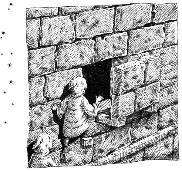 Иллюстрация к книге — Царство Ночи [i_074.jpg]