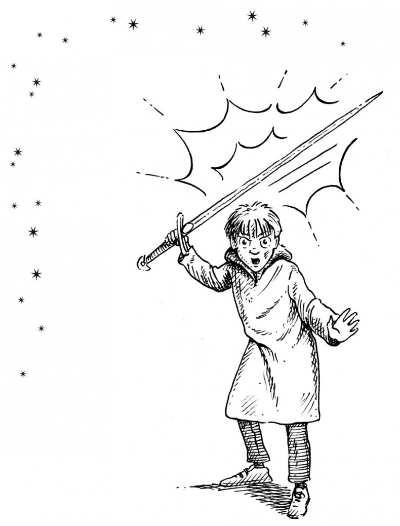 Иллюстрация к книге — Царство Ночи [i_085.jpg]