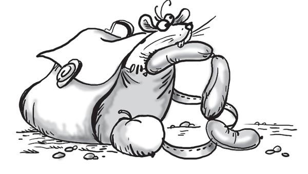 Иллюстрация к книге — Космические коты. Планета сияющего неба [i_009.jpg]