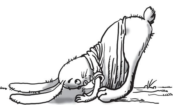 Иллюстрация к книге — Космические коты. Планета сияющего неба [i_018.jpg]