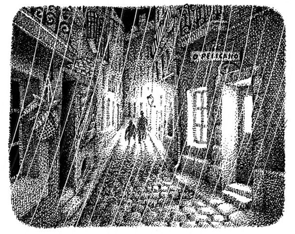 Иллюстрация к книге — Правда о Салли Джонс [i_019.jpg]