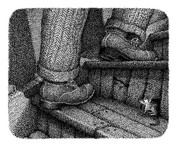 Иллюстрация к книге — Правда о Салли Джонс [i_029.jpg]