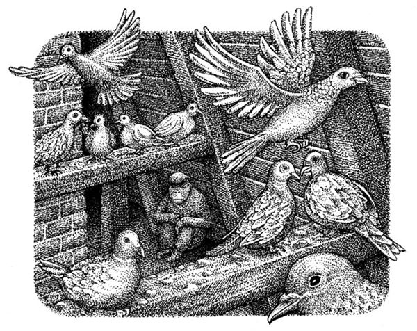 Иллюстрация к книге — Правда о Салли Джонс [i_047.jpg]