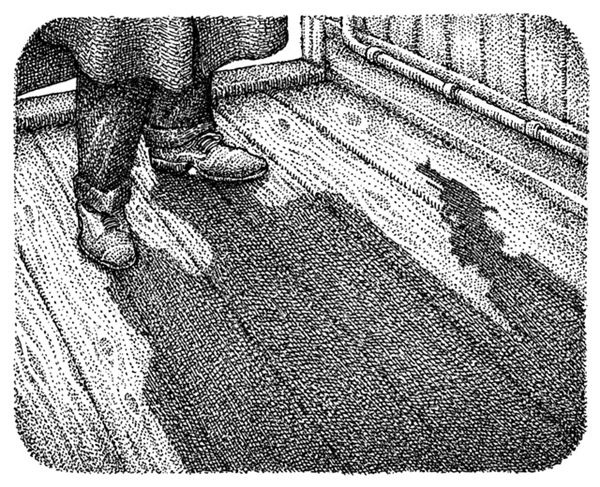 Иллюстрация к книге — Правда о Салли Джонс [i_086.jpg]