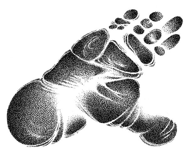 Иллюстрация к книге — Правда о Салли Джонс [i_088.jpg]