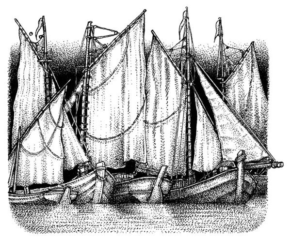 Иллюстрация к книге — Правда о Салли Джонс [i_091.jpg]