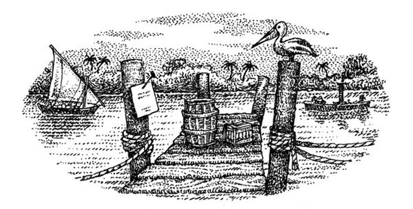 Иллюстрация к книге — Правда о Салли Джонс [i_101.jpg]