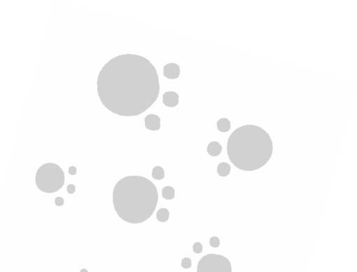 Иллюстрация к книге — Секрет говорящего какаду [i_048.jpg]