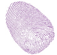 Иллюстрация к книге — Секрет говорящего какаду [i_063.jpg]