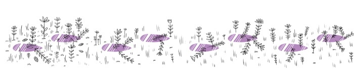 Иллюстрация к книге — Секрет говорящего какаду [i_074.jpg]