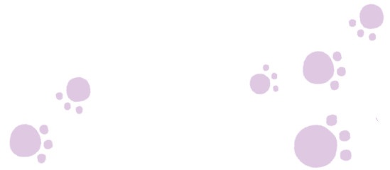 Иллюстрация к книге — Секрет говорящего какаду [i_096.jpg]