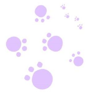 Иллюстрация к книге — Тайна Жемчужины Востока [i_107.jpg]