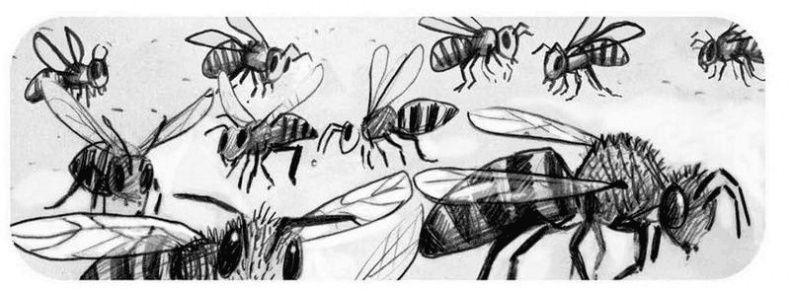 Иллюстрация к книге — Джордж и корабль времени [i_022.jpg]