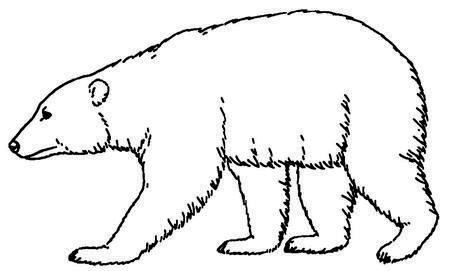 Иллюстрация к книге — Джордж и корабль времени [i_077.jpg]