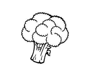 Иллюстрация к книге — Джордж и корабль времени [i_079.jpg]