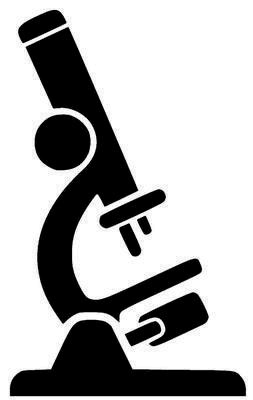 Иллюстрация к книге — Джордж и корабль времени [i_082.jpg]