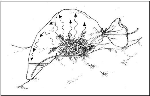 Иллюстрация к книге — Выживание в экстремальных ситуациях. Опыт SAS [i_005.jpg]