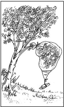 Иллюстрация к книге — Выживание в экстремальных ситуациях. Опыт SAS [i_007.jpg]