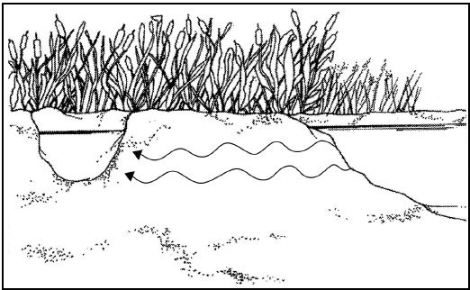 Иллюстрация к книге — Выживание в экстремальных ситуациях. Опыт SAS [i_009.jpg]