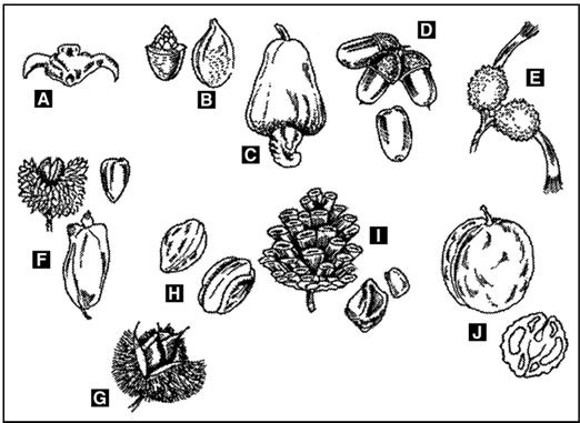 Иллюстрация к книге — Выживание в экстремальных ситуациях. Опыт SAS [i_017.jpg]