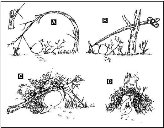 Иллюстрация к книге — Выживание в экстремальных ситуациях. Опыт SAS [i_025.jpg]
