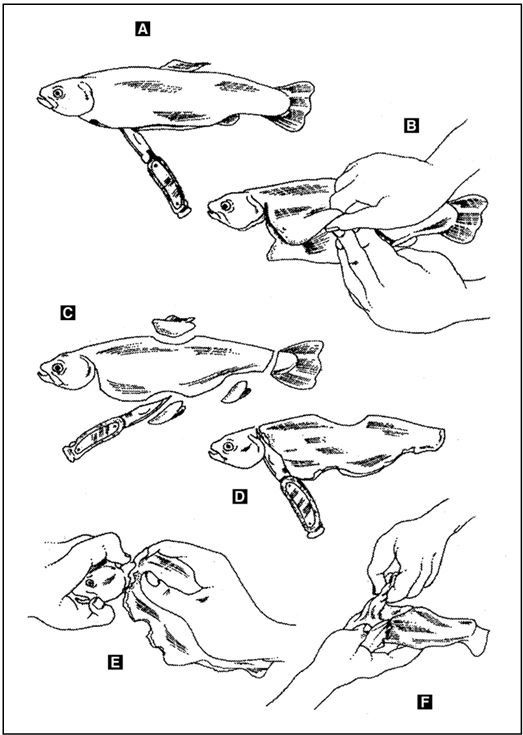 Иллюстрация к книге — Выживание в экстремальных ситуациях. Опыт SAS [i_032.jpg]