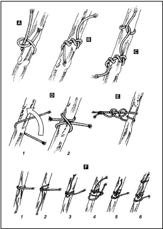 Иллюстрация к книге — Выживание в экстремальных ситуациях. Опыт SAS [i_037.jpg]