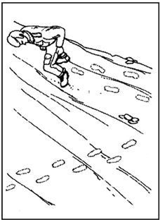 Иллюстрация к книге — Выживание в экстремальных ситуациях. Опыт SAS [i_085.jpg]