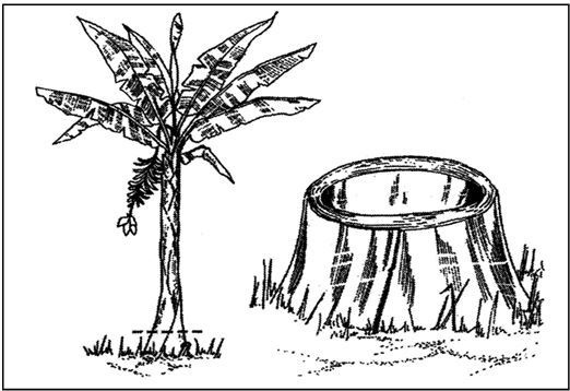 Иллюстрация к книге — Выживание в экстремальных ситуациях. Опыт SAS [i_102.jpg]