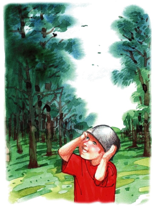 Иллюстрация к книге — Денис-изобретатель. Книга для развития изобретательских способностей детей младших и средних классов [_002.jpg]