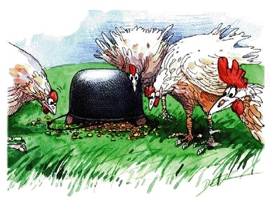 Иллюстрация к книге — Денис-изобретатель. Книга для развития изобретательских способностей детей младших и средних классов [_013.jpg]