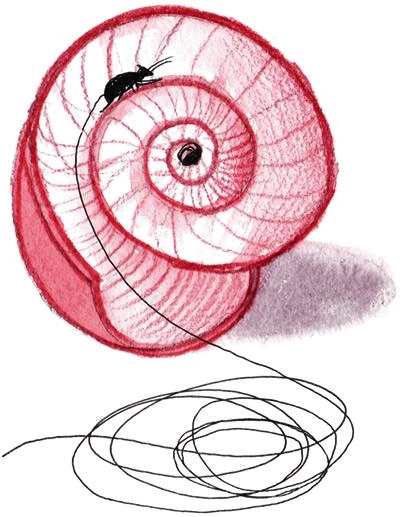 Иллюстрация к книге — Денис-изобретатель. Книга для развития изобретательских способностей детей младших и средних классов [_028.jpg]