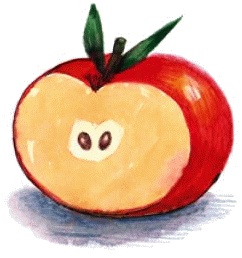 Иллюстрация к книге — Денис-изобретатель. Книга для развития изобретательских способностей детей младших и средних классов [_039.jpg]