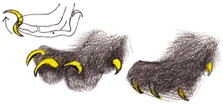 Иллюстрация к книге — Денис-изобретатель. Книга для развития изобретательских способностей детей младших и средних классов [_041.jpg]