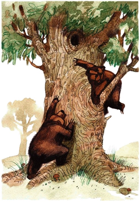 Иллюстрация к книге — Денис-изобретатель. Книга для развития изобретательских способностей детей младших и средних классов [_068.jpg]